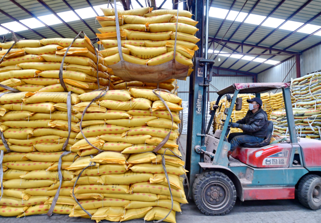 讲解！我国谷物净进口量“星星点点”