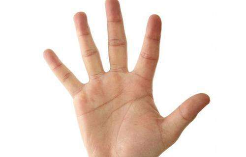 讲解！手掌相学“郢中白雪”