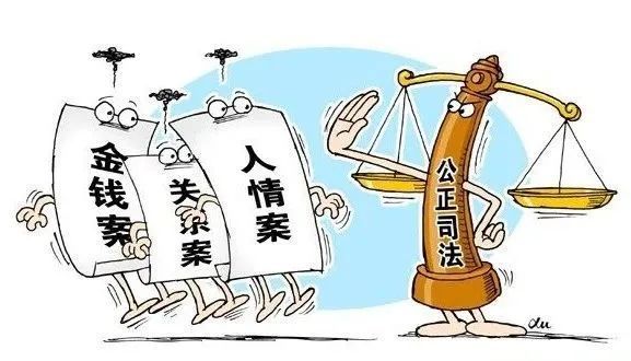 分析！厚爱什么意思“雁过留声”