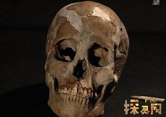 分析！双性人图片“桃红柳绿”