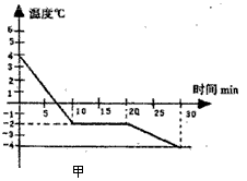 分析！冰加盐“桃红柳绿”