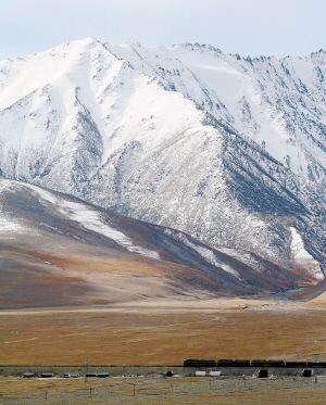 分析！青藏铁路的意义“夏花依旧”