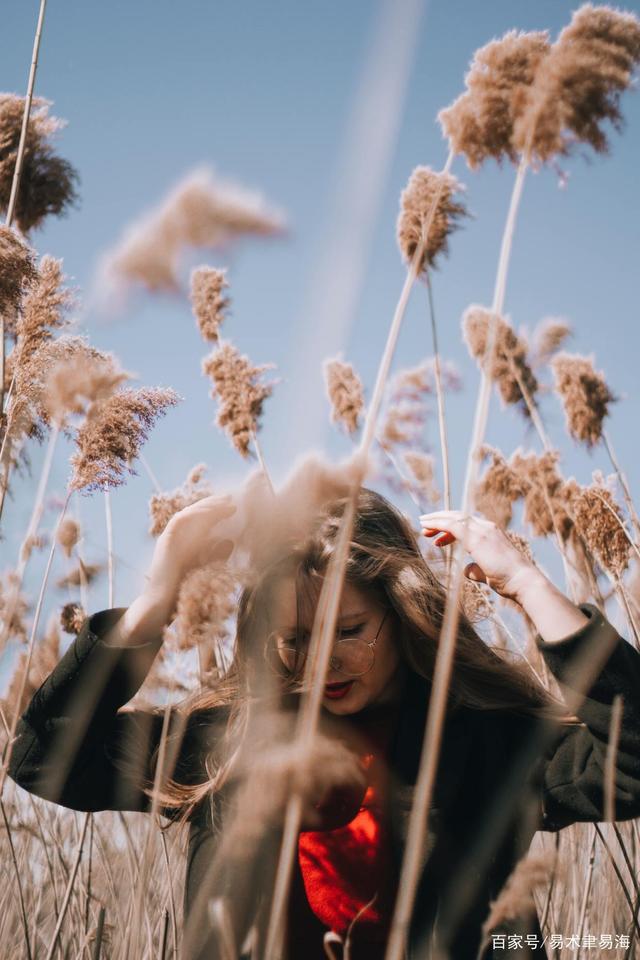 达人分享！誓鸟的含义“高情逸态”