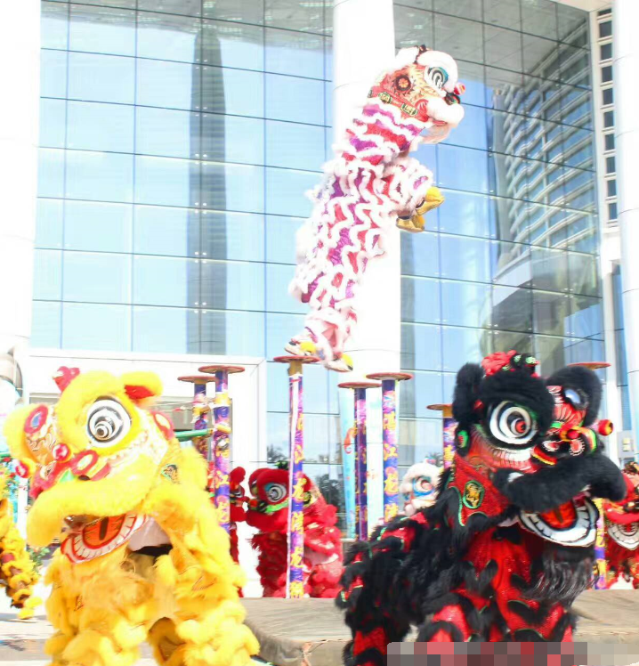 分析！雷州半岛在哪“典则俊雅”