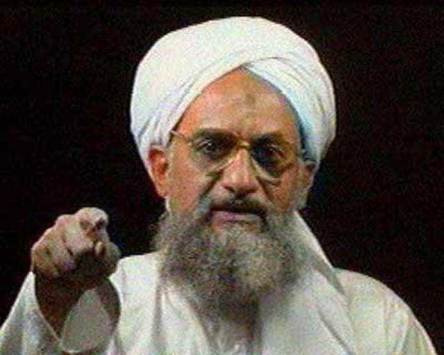 分析！本拉登是怎么死的“桃红柳绿”