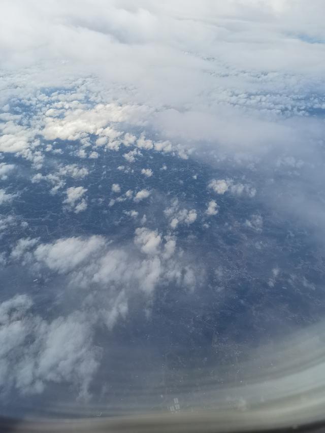 分析！飞机找到了吗“桃红柳绿”