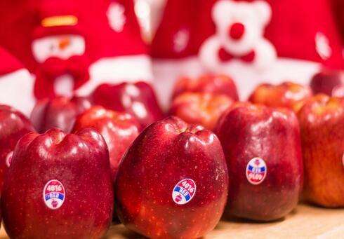 分析！圣诞节吃苹果“冰清水冷”