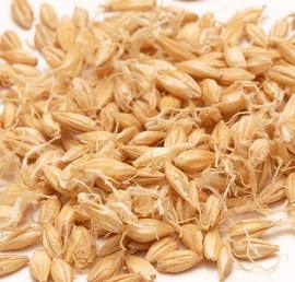 详情！麦芽网登陆