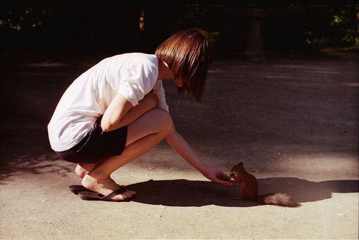 分析！圈套常雨泽“典则俊雅”