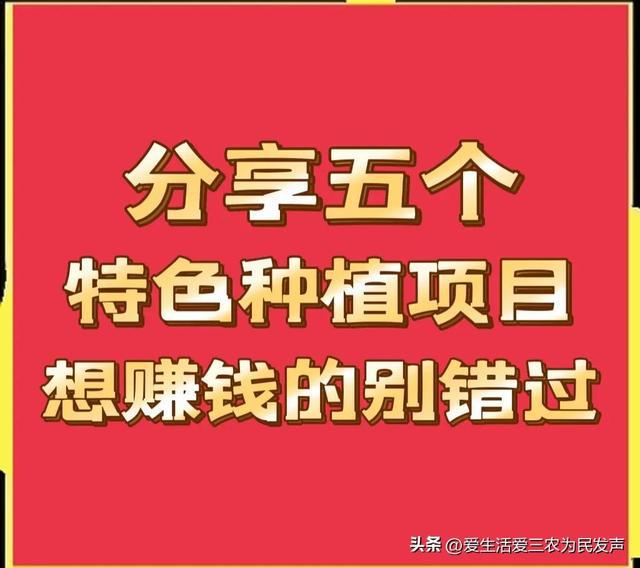 达人分享！批发什么赚钱