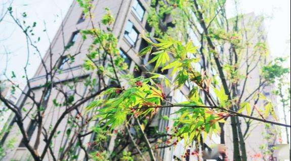 讲解！教你查自己的微信是否被监控“桃红柳绿”