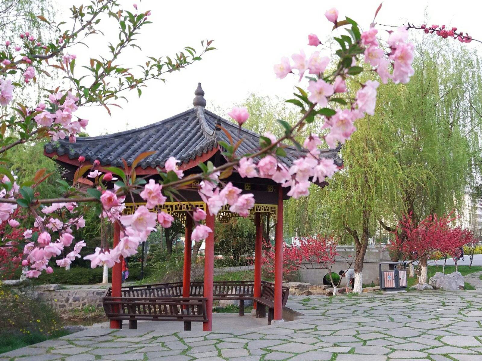 讲解！教你查自己的微信是否被监控“桃红柳绿”