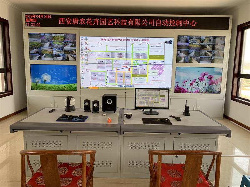 达人分享！拉登是怎么死的“桃红柳绿”