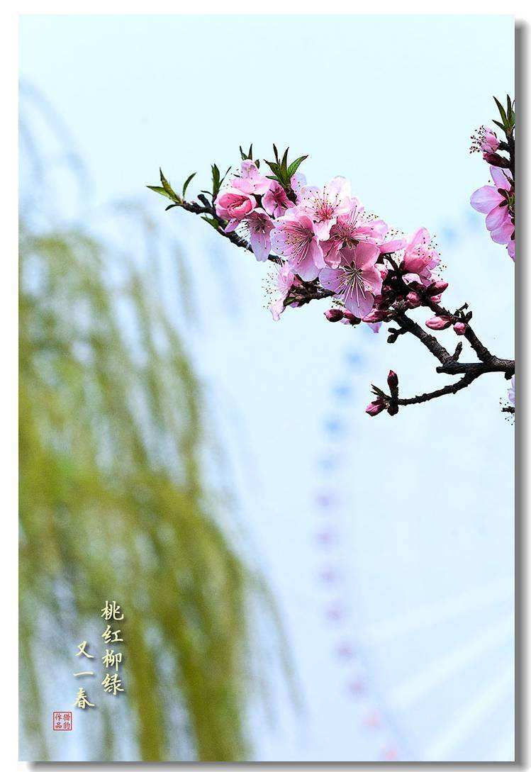 分析！免费手机定位查询“桃红柳绿”