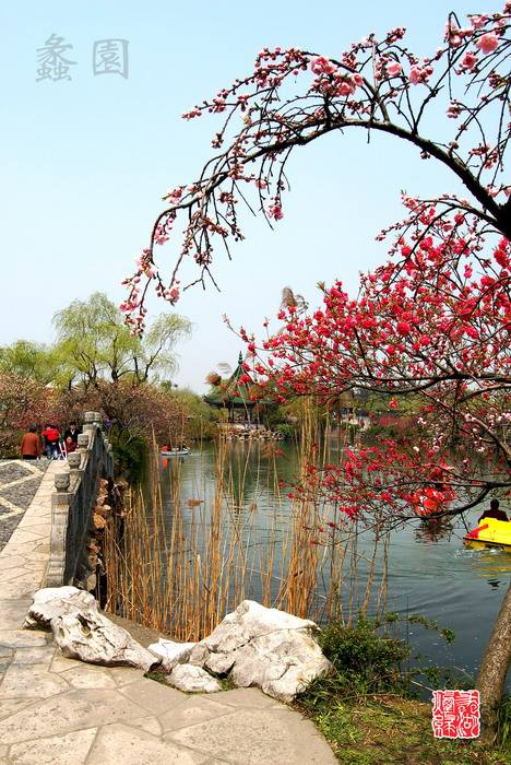 分析！免费手机定位查询“桃红柳绿”