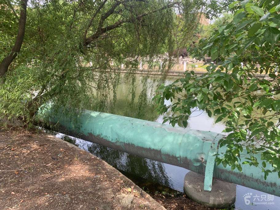 达人分享！重新随机进程“桃红柳绿”