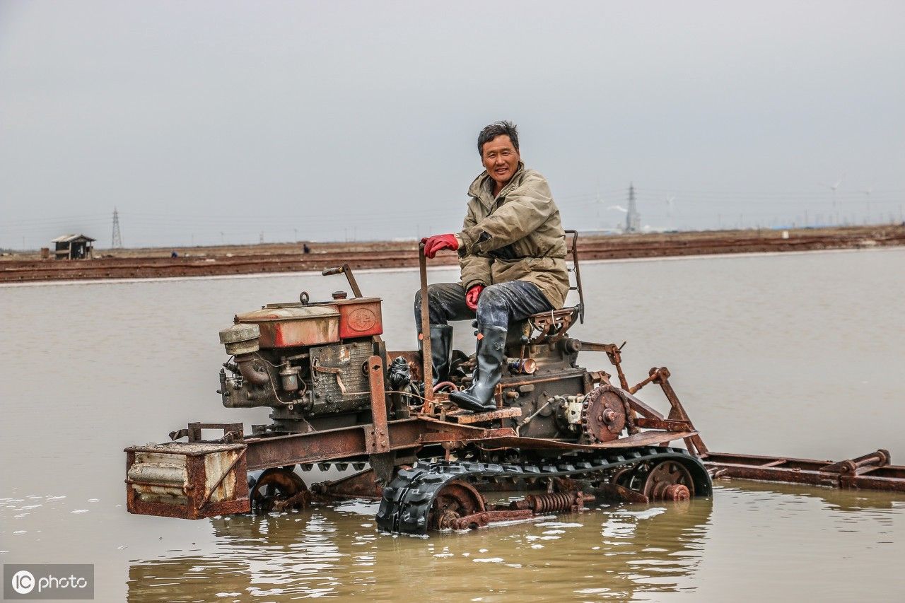 分析！汉沽盐场吧“雁过留声”