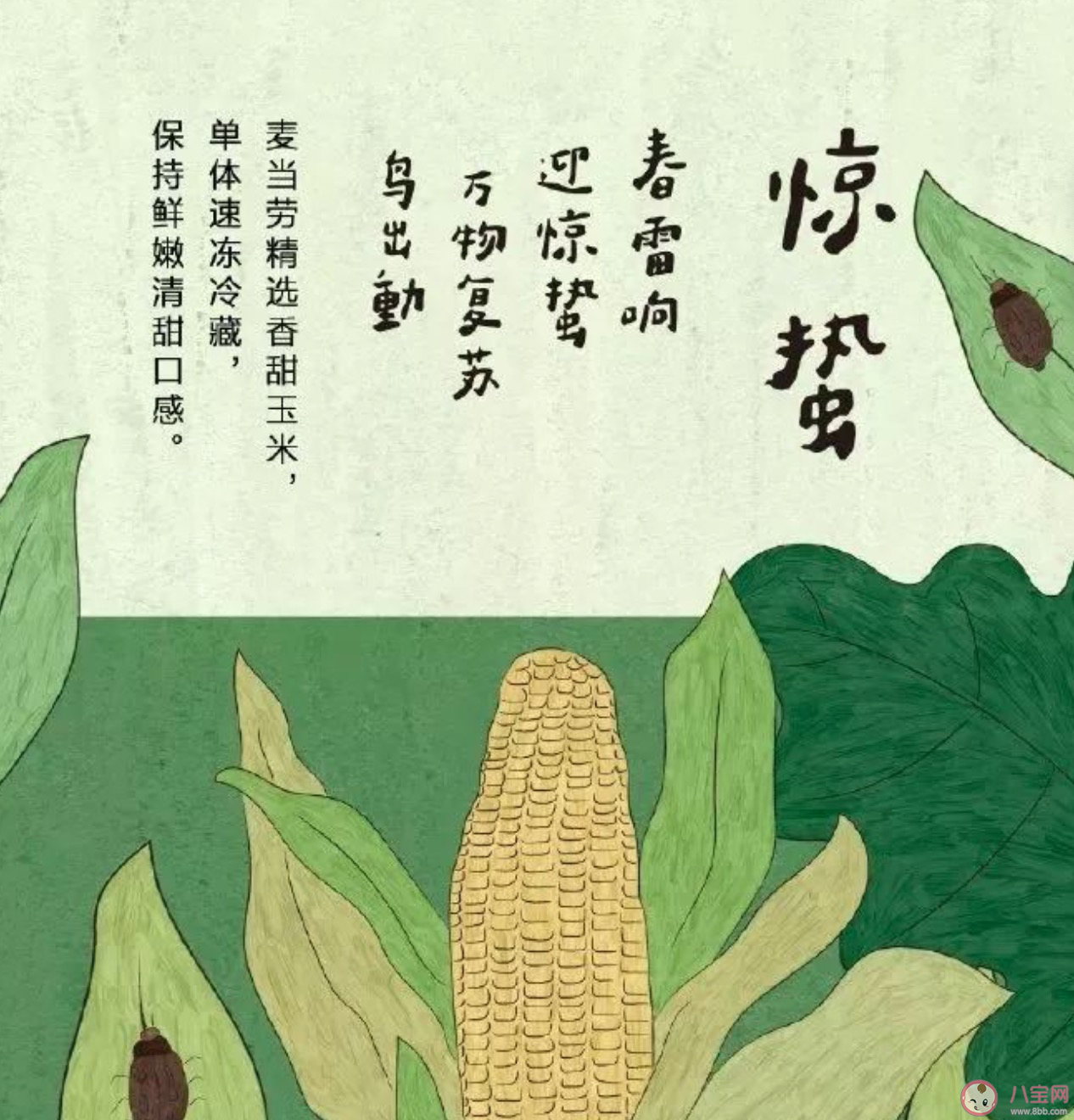 讲解！2020年几点几分惊蛰“纯一不杂”