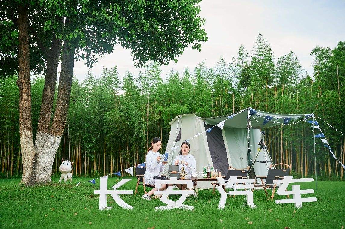 讲解！安逸什么意思“夏花依旧”