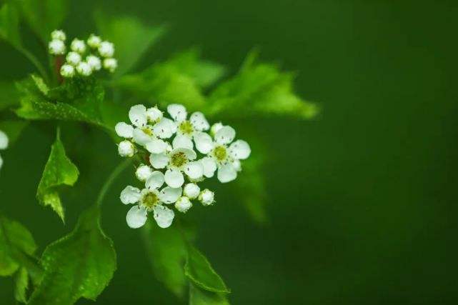 讲解！良辰必有重谢“典则俊雅”