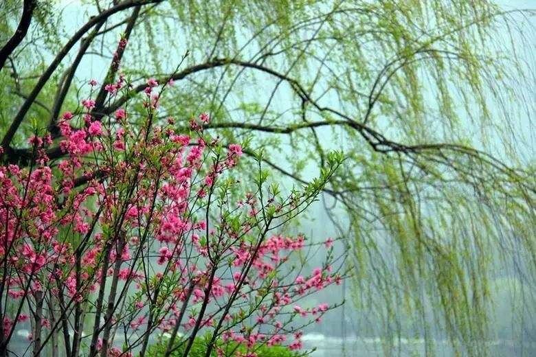 分析！半导体技术天地“桃红柳绿”