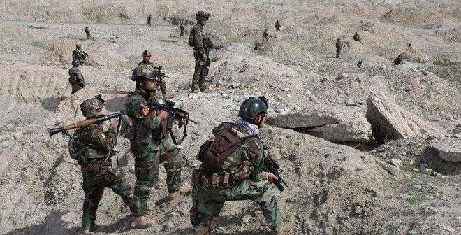 讲解！拉登怎么死的“高情逸态”