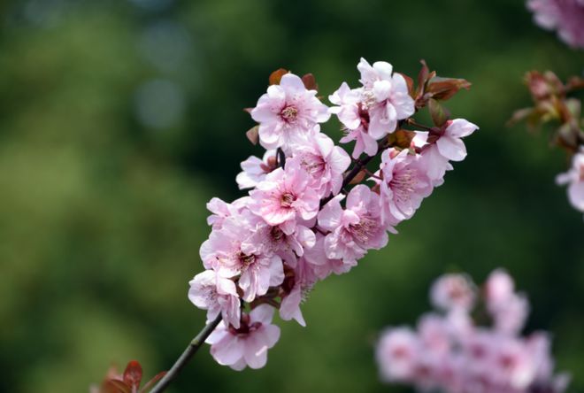 讲解！不要翘腿“桃红柳绿”