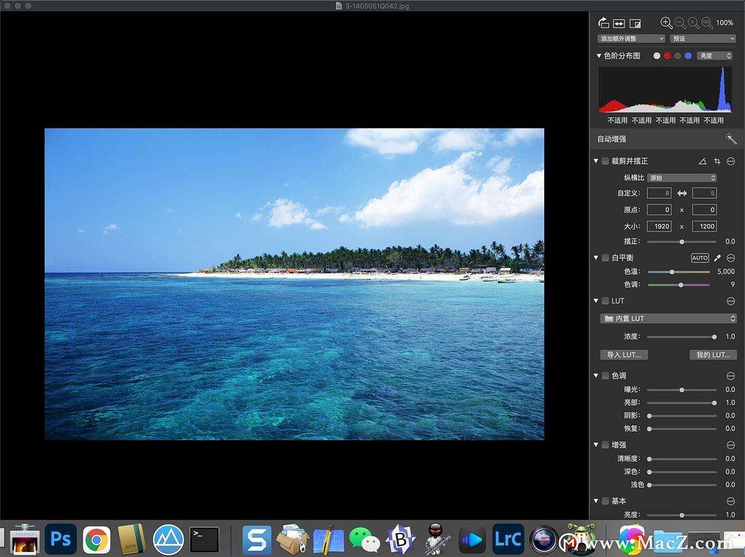 分析！全视频之夜“夏花依旧”