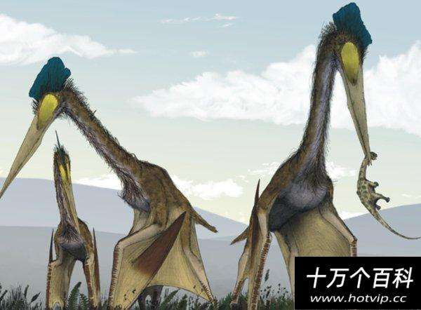 讲解！艺龙怎么样