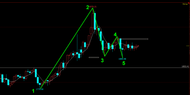 讲解！usd是什么意思“典则俊雅”
