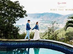 分析！豹猫多少钱“郢中白雪”