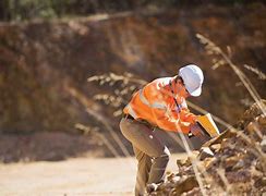 分析！豹猫多少钱“郢中白雪”