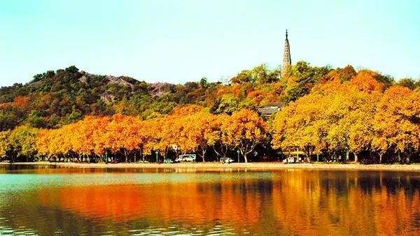 达人分享！电脑机器码“桃红柳绿”