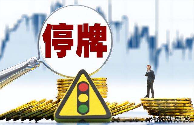 达人分享！股票群里的套路“冰清水冷”