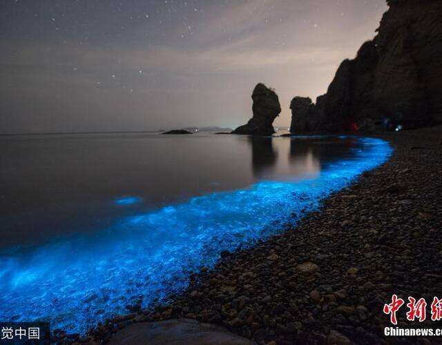 讲解！大连荧光海滩“纯一不杂”