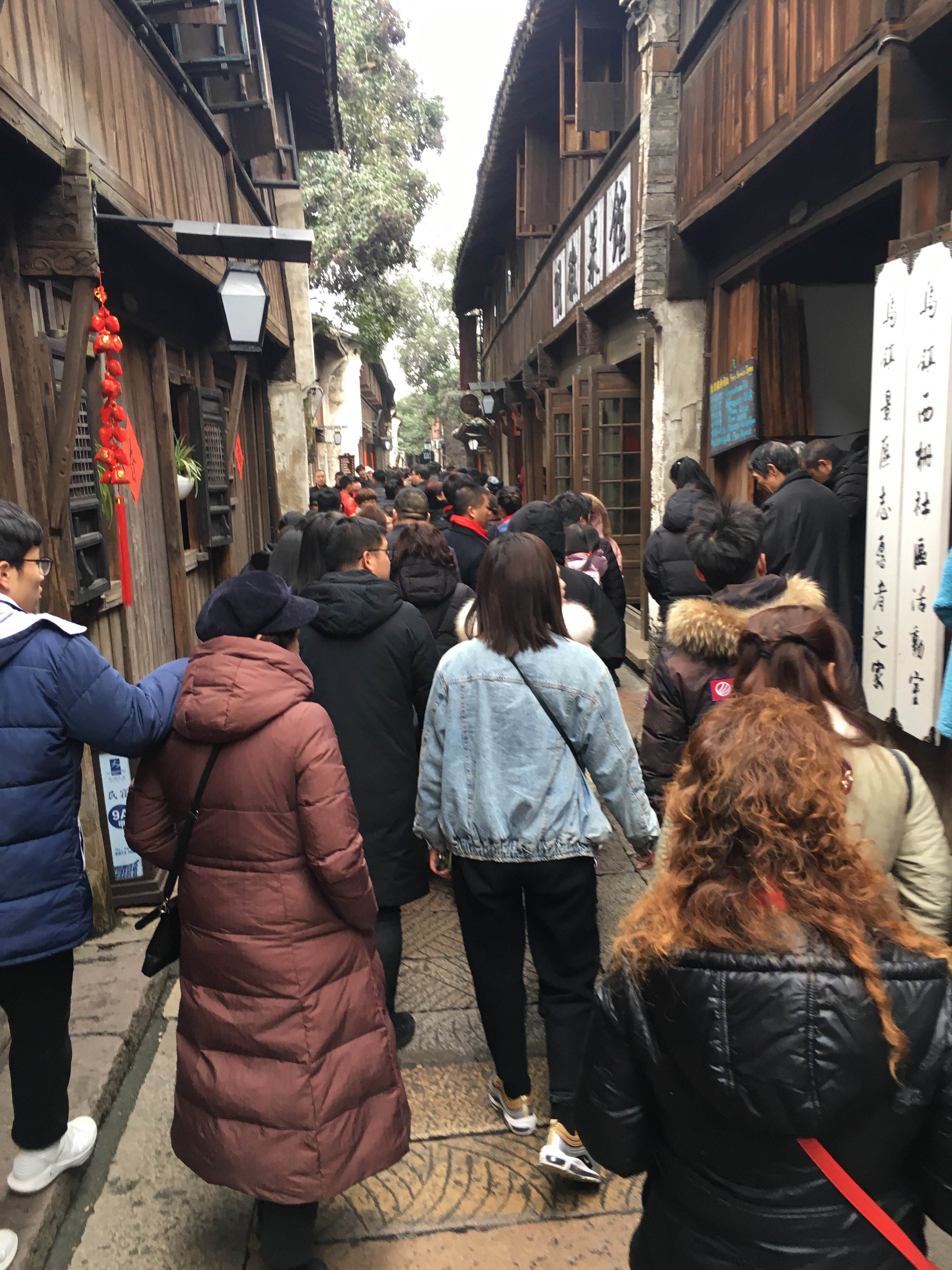 分析！宁波到乌镇一日游“纯一不杂”