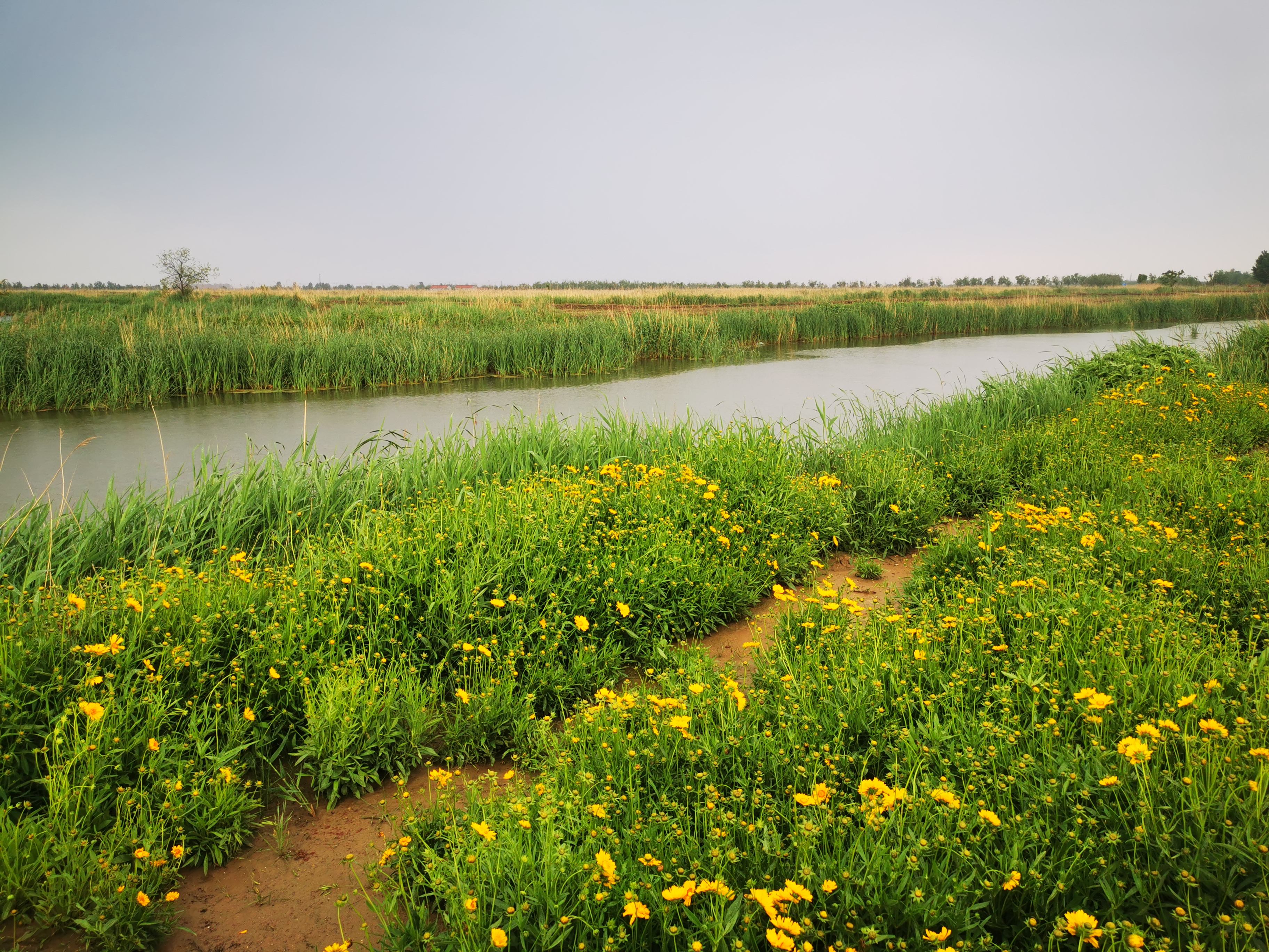 详情！百子湾为什么都是鸡“星星点点”