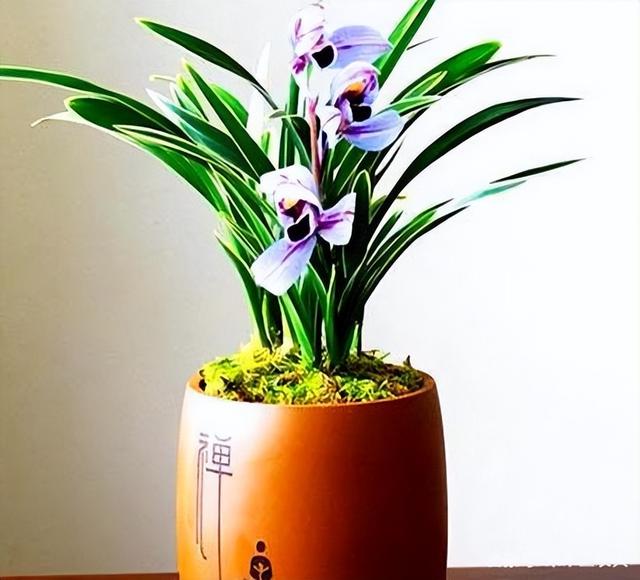 分析！2021年是中国最可怕的一年“高情逸态”