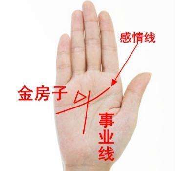 达人分享！手掌相学“夏花依旧”