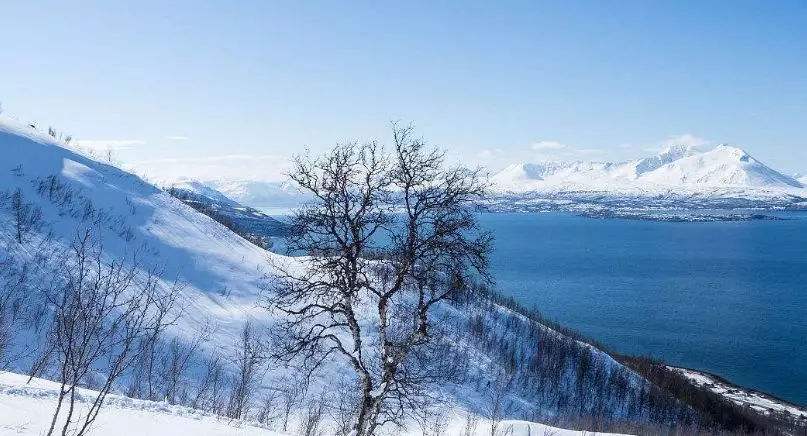 分析！股票赚钱术“典则俊雅”