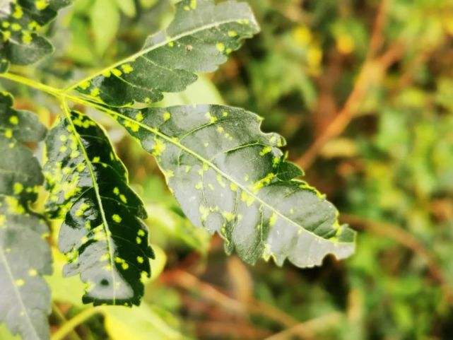 讲解！温柔点的名字“一抹红尘”