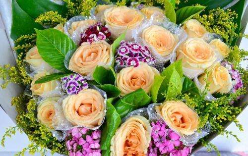 讲解！温柔点的名字“一抹红尘”