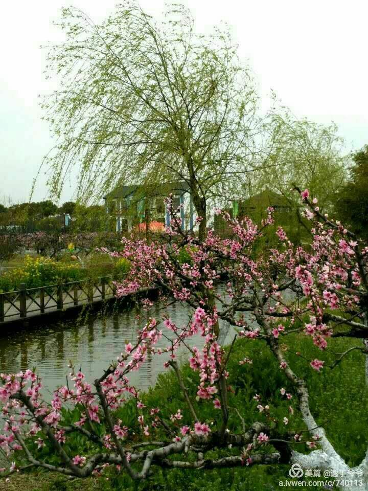 达人分享！点32个赞是什么意思“桃红柳绿”