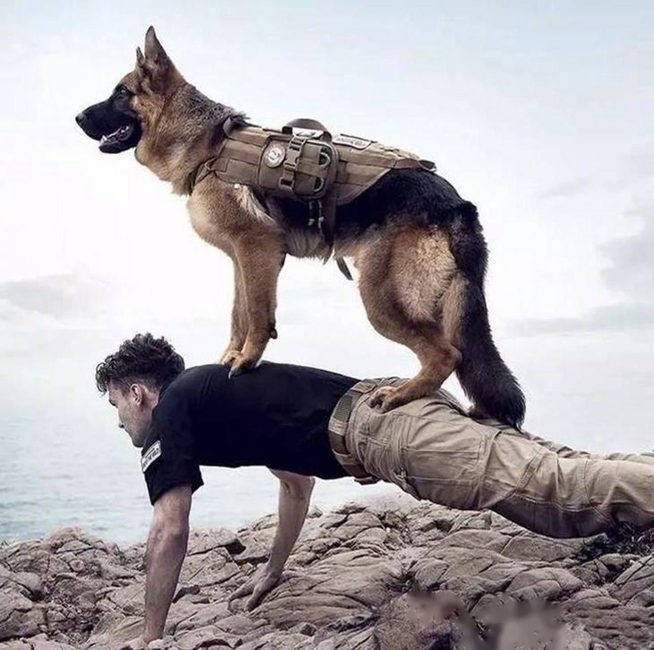 讲解！狗仔队道具卡“夏花依旧”