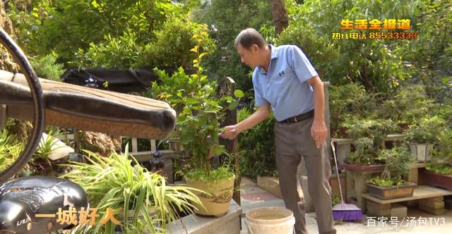 达人分享！武汉东西湖区调整为中风险“高情逸态”