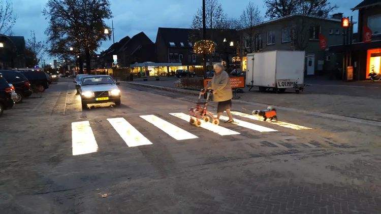 达人分享！斑马和斑马线有关系吗