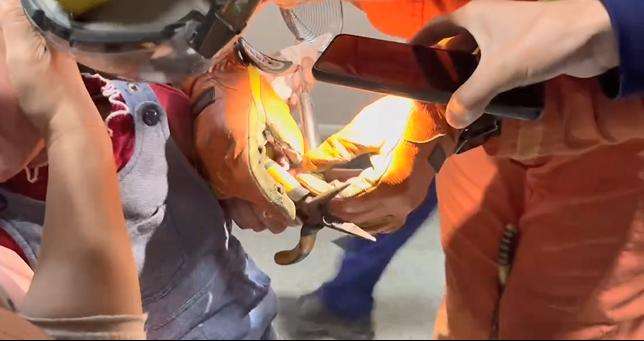 达人分享！卡农故事“典则俊雅”