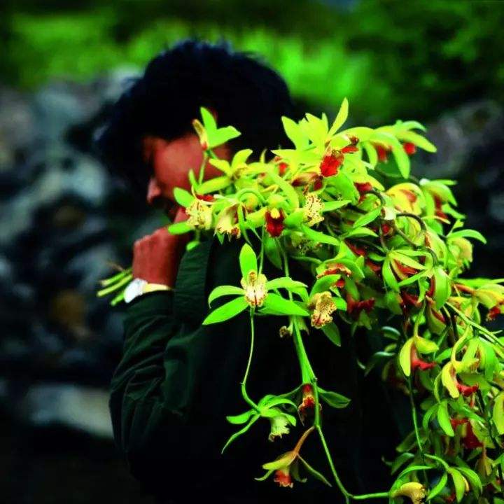 详情！一月一次的思想汇报“空谷幽兰”