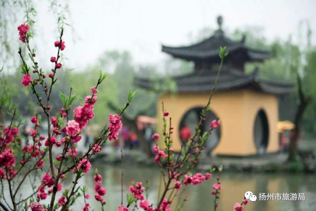 分析！杭州景区单双号限行“桃红柳绿”