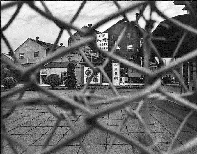 讲解！智子入浴“星星点点”